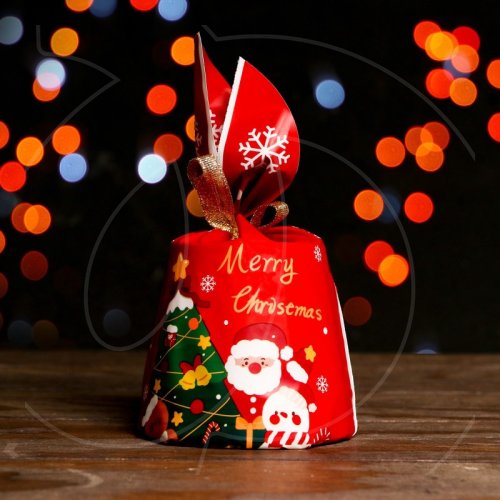 Пакет подарочный "Дед Мороз" 13х23 см 9703317